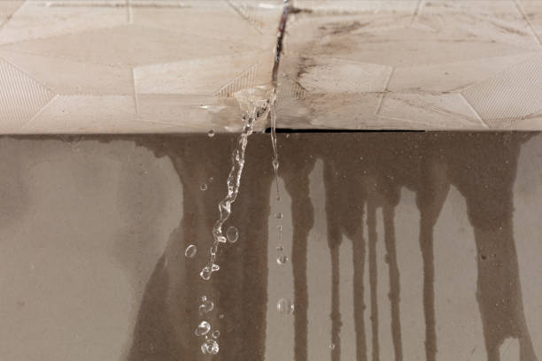 Professional Flood Damage Cleanup technician working in Renton, WA